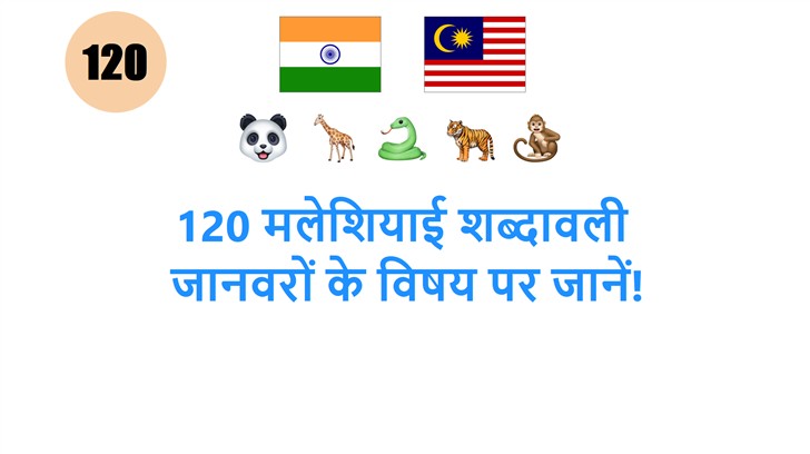 120 मलेशियाई शब्दावली: जानवरों के विषय पर जानें!